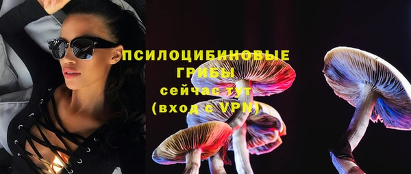 МДПВ Арсеньев