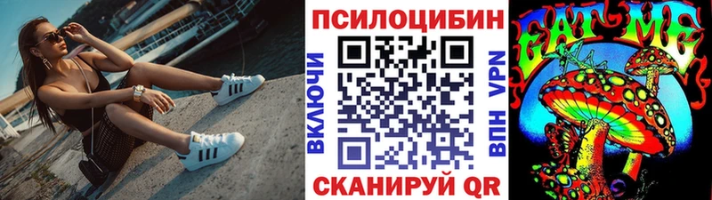 ссылка на мегу tor Дзержинский Галлюциногенные грибы Psilocybe
