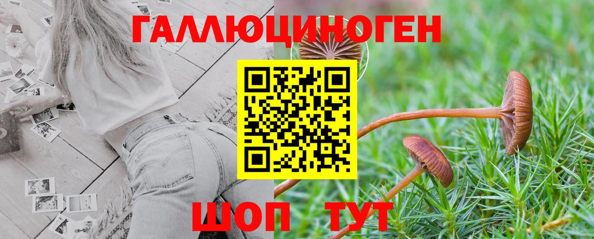 Дзержинский  Псилоцибиновые грибы Magic Shrooms  Вход с VPN  купить наркотик  Галлюциногенные грибы мицелий 