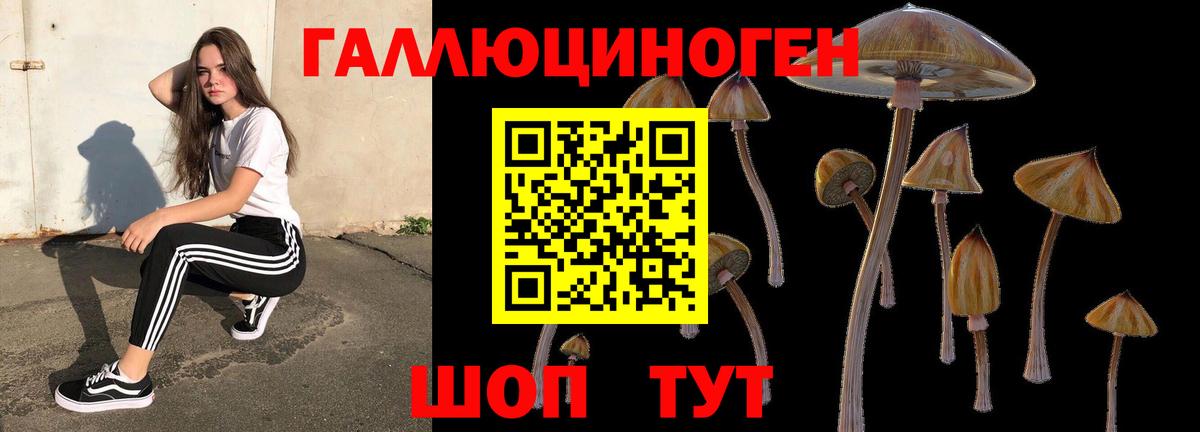 Псилоцибиновые грибы мухоморы Дзержинский
